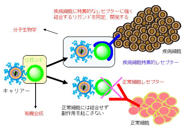 ドラッグデリバリーシステム - Drug delivery - JapaneseClass.jp