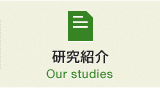 研究紹介 Our studies