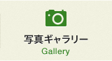 写真ギャラリー Gallery