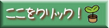 ここをクリック!