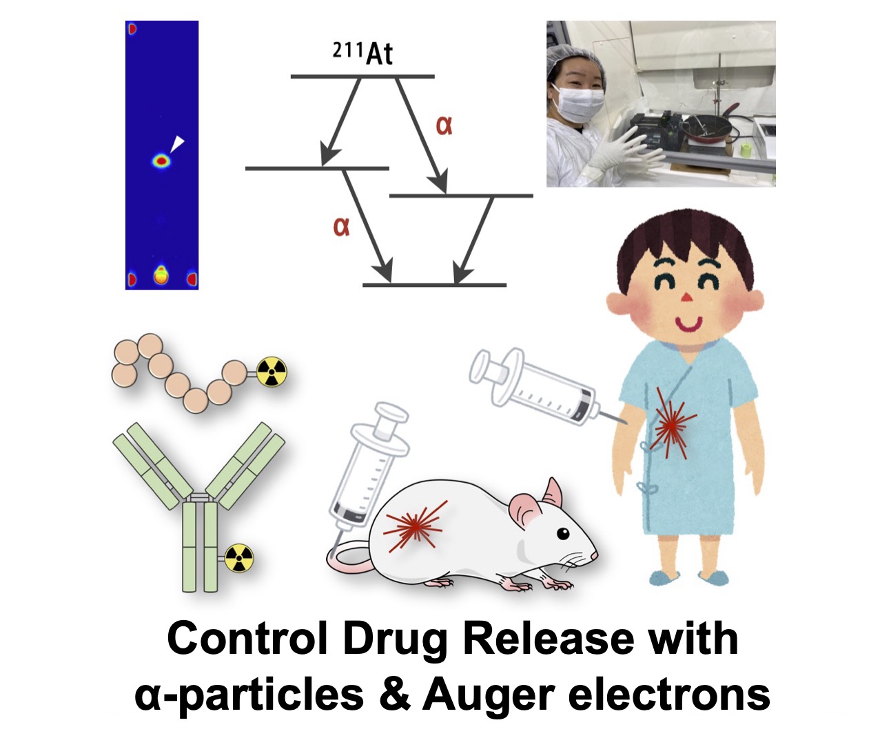 Alpha and Auger-based therapy