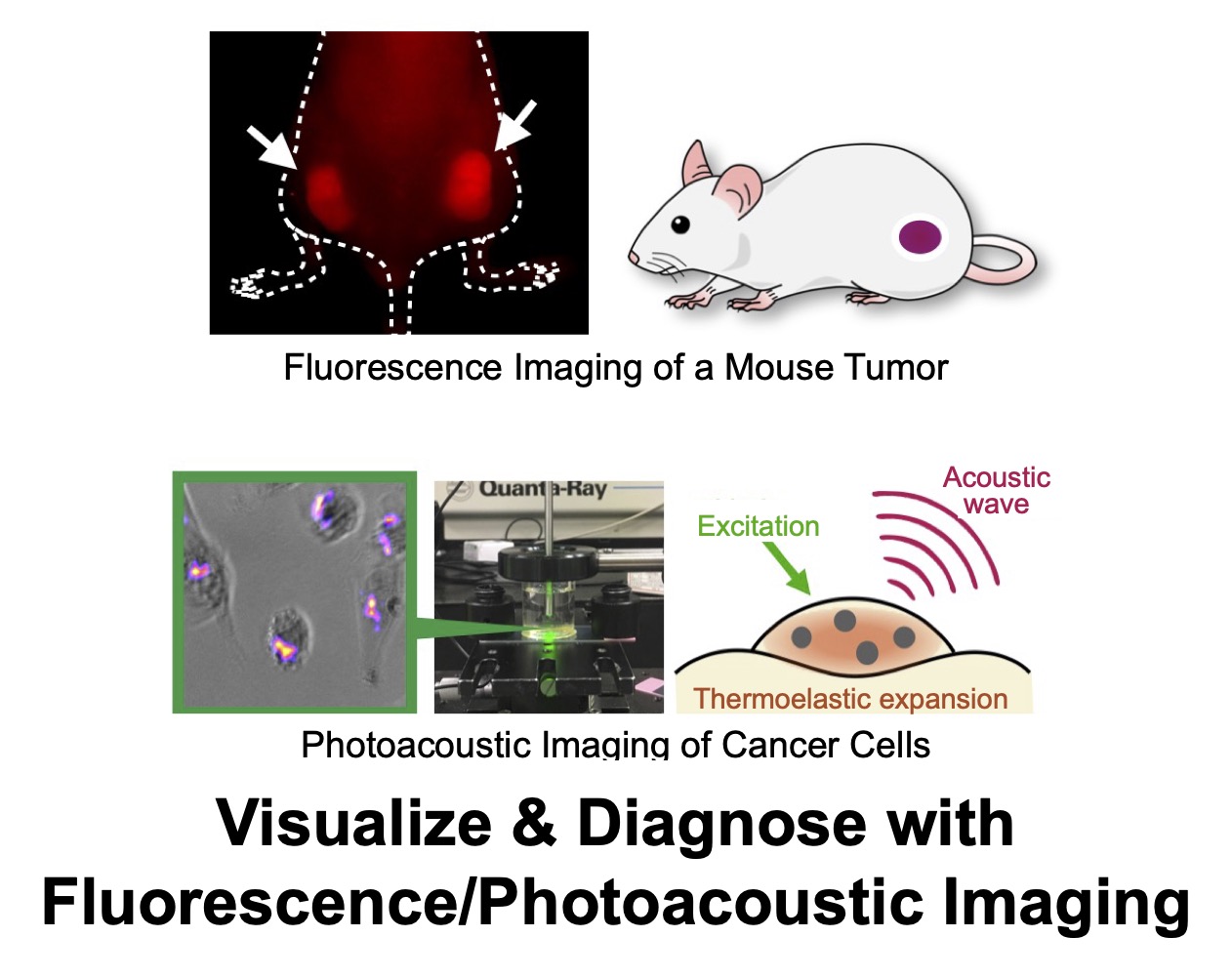 Fluorescence and photoacoustic imaging