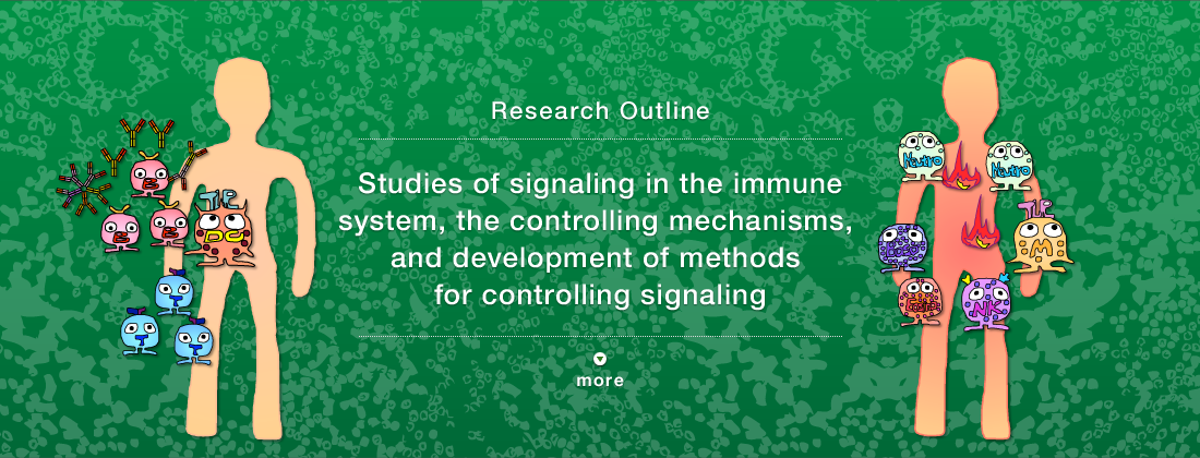 Research Outline Manipulating the immune response by controlling signal transduction to fight autoimmune diseases, infection and cancer