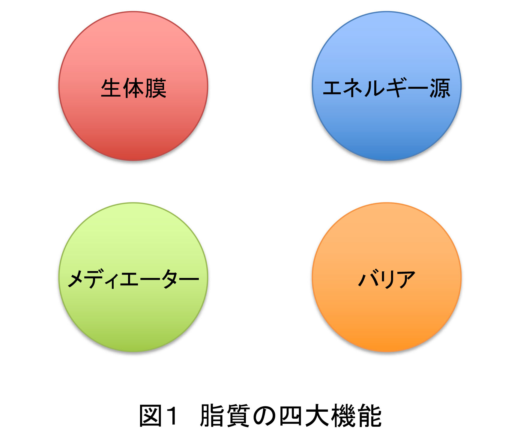 研究内容｜生化学研究室｜北海道大学大学院 薬学研究院