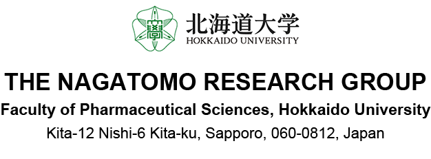 HOKKAIDO UNIVERSITY