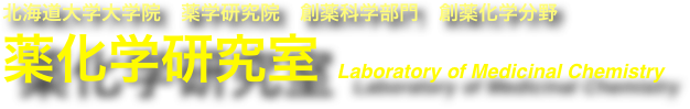 北海道大学大学院　薬学研究院　創薬科学部門　創薬化学分野
薬化学研究室 Laboratory of Medicinal Chemistry  