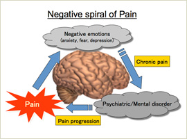The mechanism of developing pain-induced negative emotions and extended amygdala