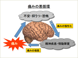 痛みによる不快情動生成機構と拡張扁桃体